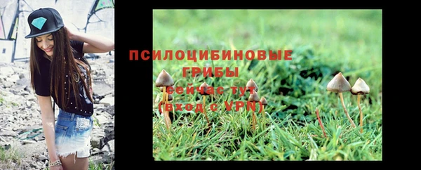 прущие крисы Абдулино